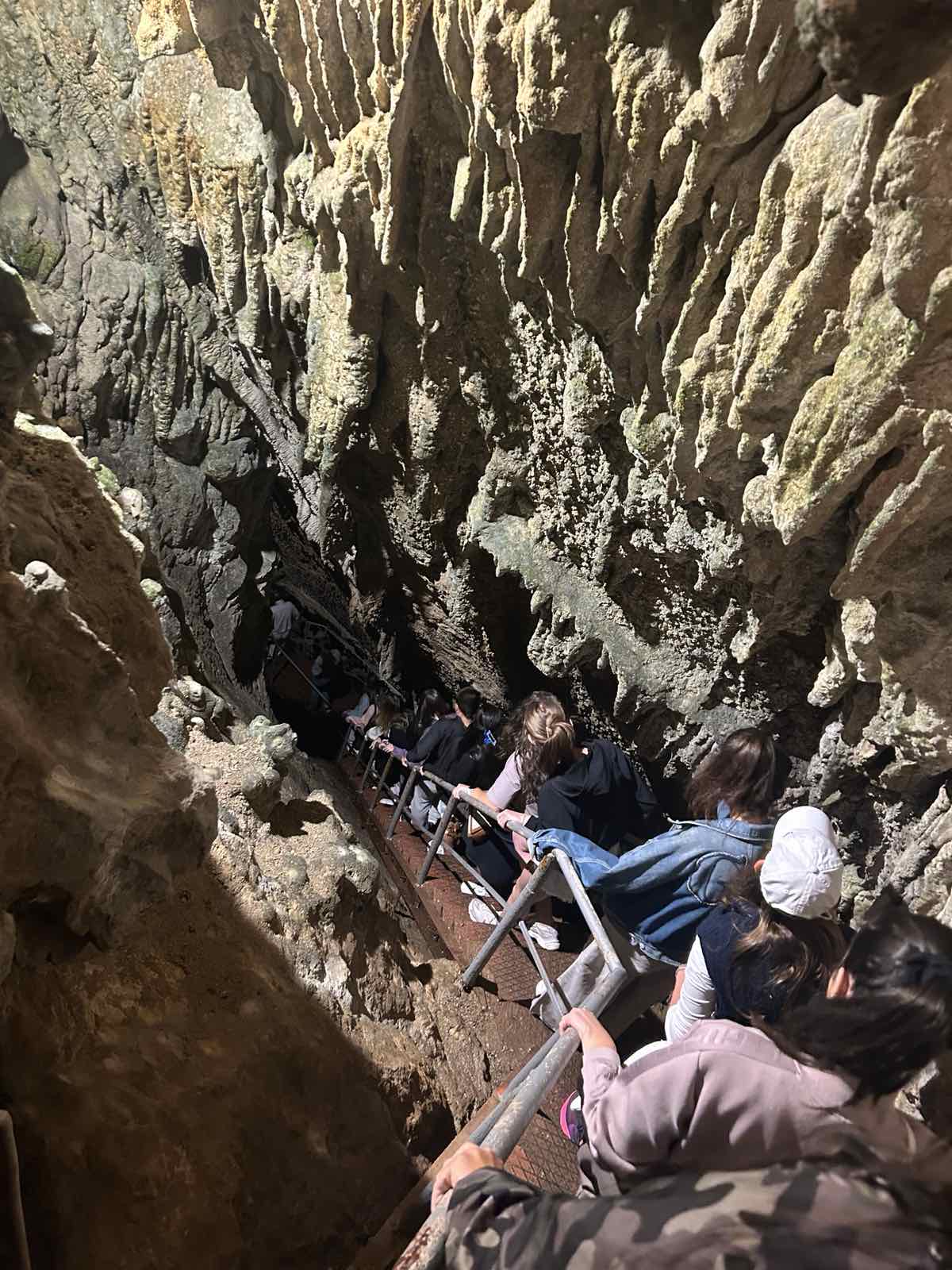 нп образователни маршрути